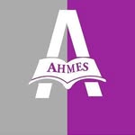 AHMES School Logo