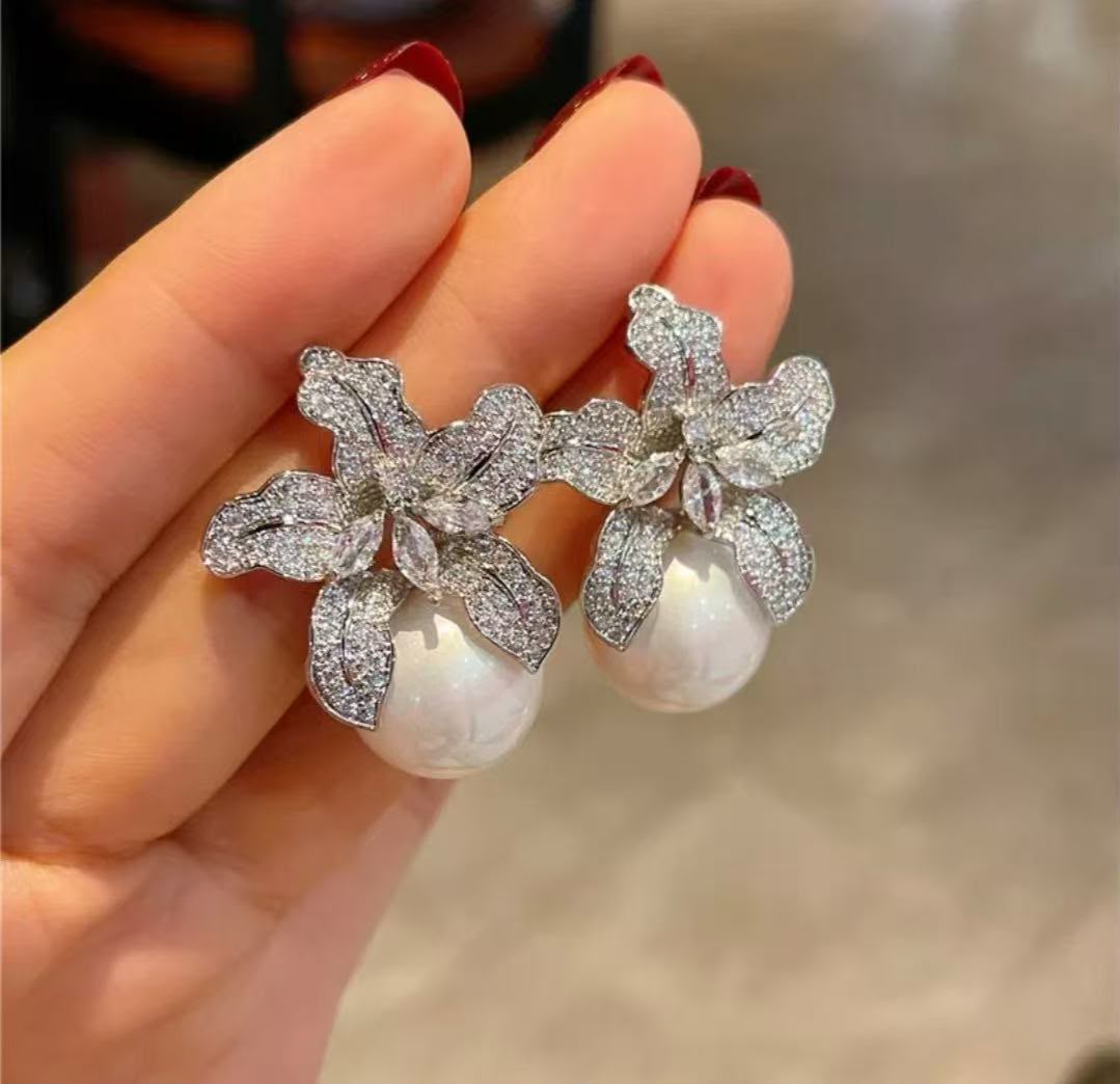 Beautiful Silver Earrings