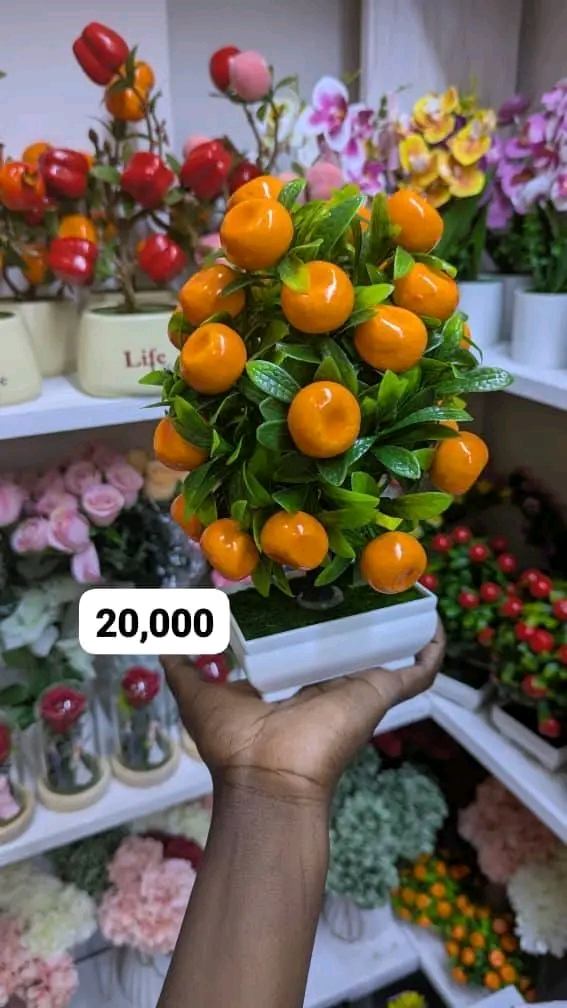 Orange flower