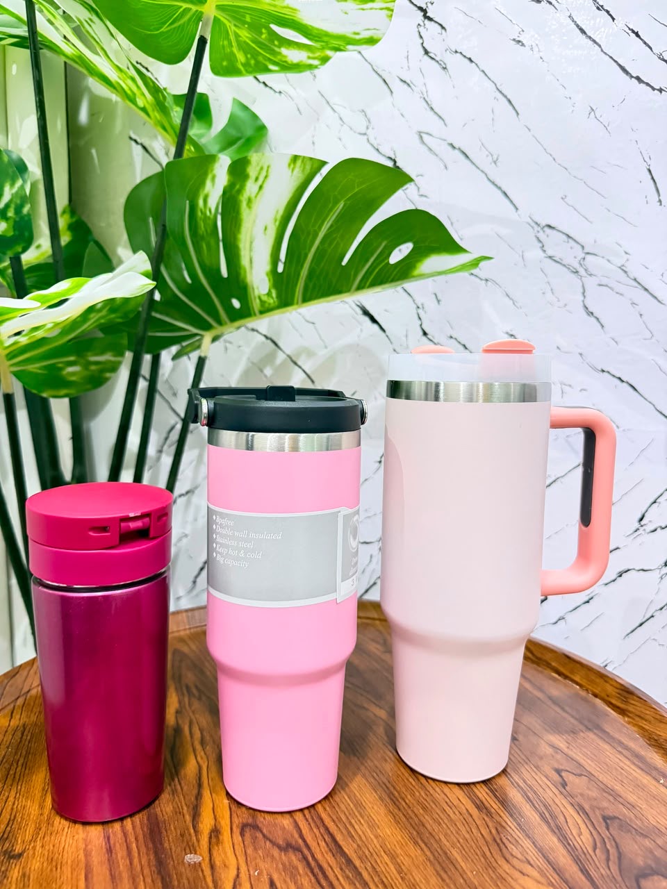 vacuum cup 3pc