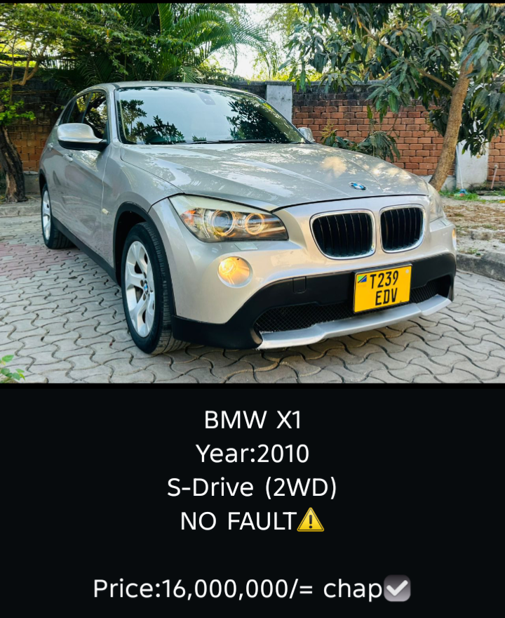 BMW X1 2010